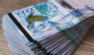 Как малый бизнес сможет получить кредит до 200 млн тенге в Казахстане