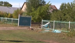 Четверо погибших детей: водителю с эпилепсией запросили максимальный срок