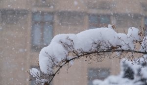 Какой будет погода в Казахстане в первый день 2026 года