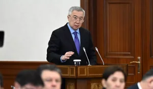 Супруга министра нацэкономики Казахстана заработала почти 89 млн тенге за год