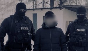 Полиция раскрыла серию краж скота в Алматинской области