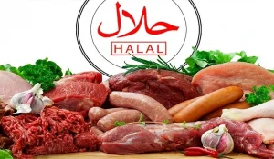 Халал-продукты и услуги без сертификата могут стать поводом для штрафа