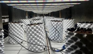 Фитолабораторию с дорогостоящим оборудованием ликвидировали наркоборцы в Акмолинской области