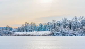 Февраль с оттепелями и морозами до −30: какой будет погода в Казахстане