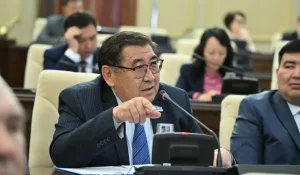 Превращение языка в оружие конфронтации и противостояния не принесёт нам чести - Ермурат Бапи