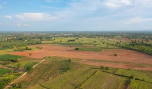 Назарбаев получил штраф за отказ в выдаче земли