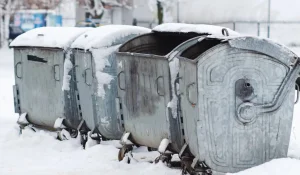 Тело новорожденного нашли в мусорном баке в Семее