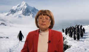 Социальные сети как «эмоциональный туалет»: как рождается массовая травля