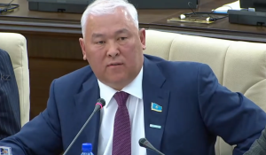 Куда исчез аспирин? В Мажилисе заявили о «фармацевтической мафии»