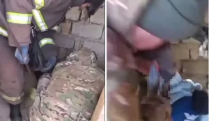 Трехлетний малыш упал в яму уличного туалета в Туркестанской области