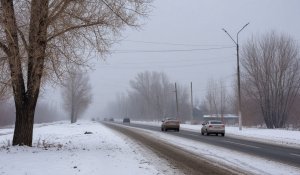 Прогноз погоды на 9 марта: туман и гололед ожидаются в ряде регионов Казахстана