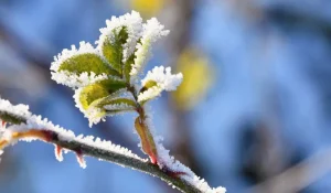 Антициклон принесет тепло в Казахстан: на юге и западе ожидается до +15°C
