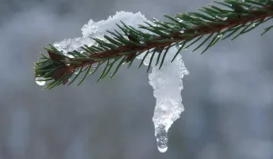 В Казахстане в ближайшие дни ожидаются потепление, осадки и туман