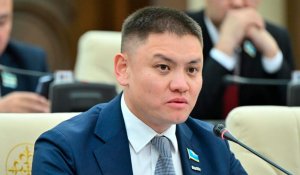 Рынок на 30 триллионов под угрозой: в Мажилисе выступили против новых правил госзакупок, отсекающих малый бизнес