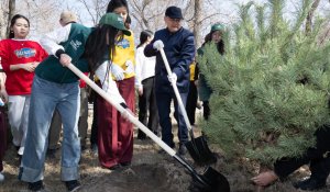 «Жаңару күні»: в Жетісу очистили родник и посадили тысячи деревьев