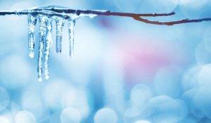 Казахстан накроют жара до +30, дожди и грозы