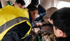 Исследования и озеленение: в Атырау разрабатывают меры по борьбе с пыльными бурями