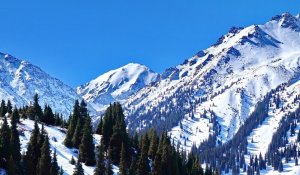 Пятеро подростков потерялись в горах Алматы