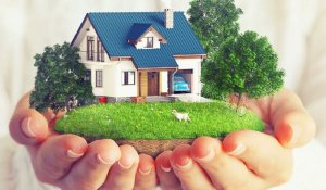 Право на бесплатный земельный участок: как и где можно получить его в Казахстане