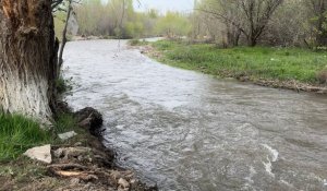 Тело пропавшего ребёнка нашли спустя несколько дней в Туркестанской области