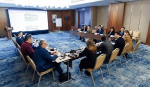 Чем будет заниматься политическая партия «Әділет»?