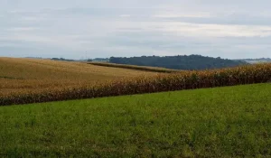 1,7 млрд на «ничего»: прокуратура вскрыла сомнительный проект в Шымкенте