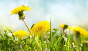 Казахстан ждет погодный шок: от морозов к жаре +28°C всего за три дня