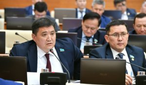 Кто контролирует Platonus: в мажилисе заявили о риске потери прав на систему