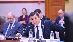 «Кого мы готовим?» В Мажилисе жестко раскритиковали «Болашак»