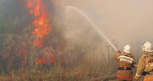 Число погибших, найденных на месте пожара в Абайской области, достигло 14 человек - МЧС