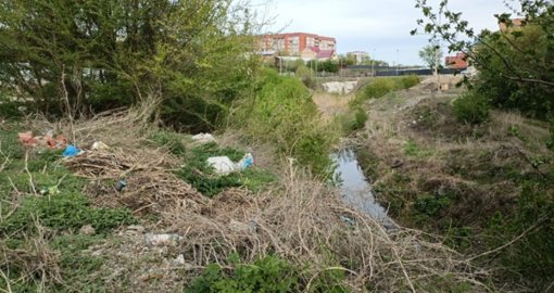 В Костанае проводят уборку после паводков
