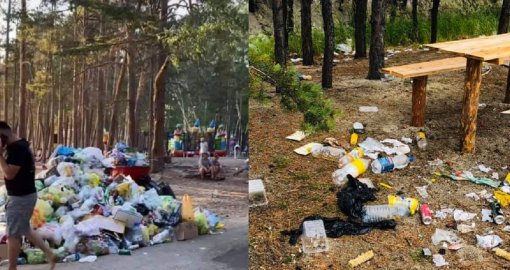 «Позор просто»: Токаев резко раскритиковал загрязнение Борового