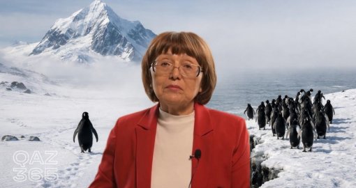 Социальные сети как «эмоциональный туалет»: как рождается коллективная травля