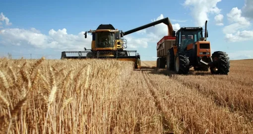 В сельском хозяйстве выявили неэффективное использование 32 млрд тенге