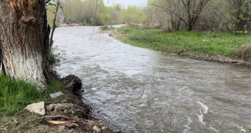 Тело пропавшего ребёнка нашли спустя несколько дней в Туркестанской области