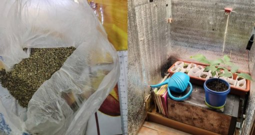 Самодельная фитолаборатория ликвидирована в Акмолинской области