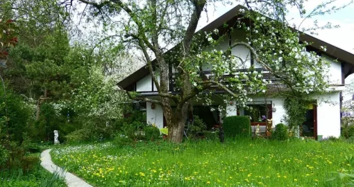 Где купить земельный участок в Алматы: что важно знать в 2026 году