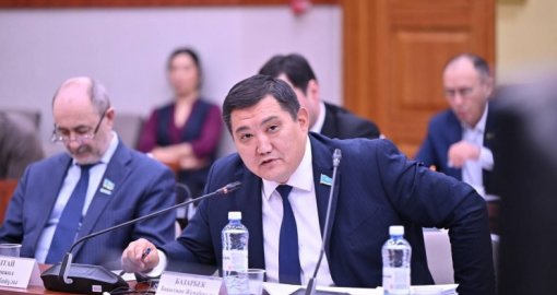 «Кого мы готовим?» В Мажилисе жестко раскритиковали «Болашак»