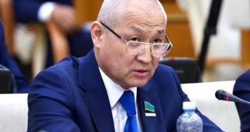 «Дипломатия не для бродячих собак»: Сенат вернул закон об обращении с животными