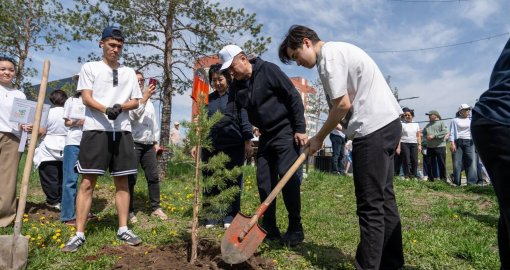 Почти 2,5 тысячи саженцев: 11-классники оставили свой след в областном центре ВКО