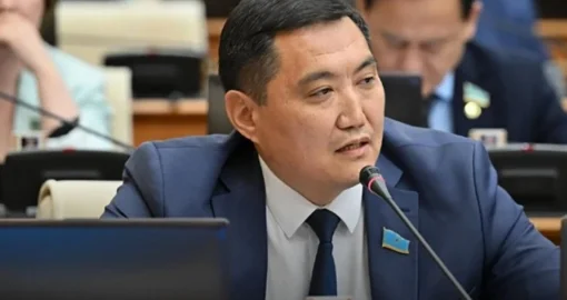 Поддельные госномера могут стать уголовным делом: МВД отреагировало на предложение депутата
