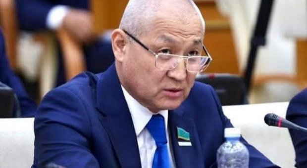 «Дипломатия не для бродячих собак»: Едил Жанбыршин резко выразился о возврате закона о бездомных животных