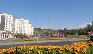 Погода в Алматы с 19 по 25 мая 2025 года
